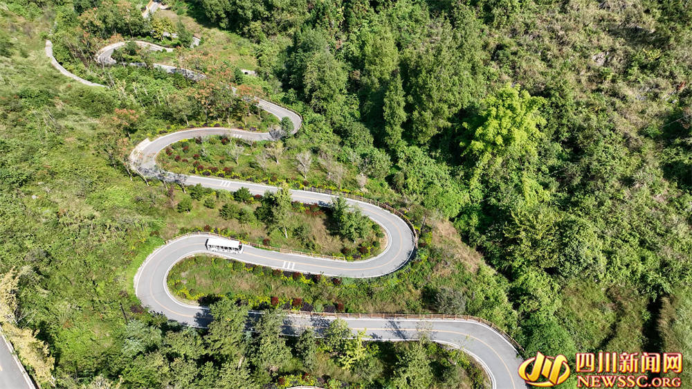 7.觀光車行駛在景區(qū)路上.jpg