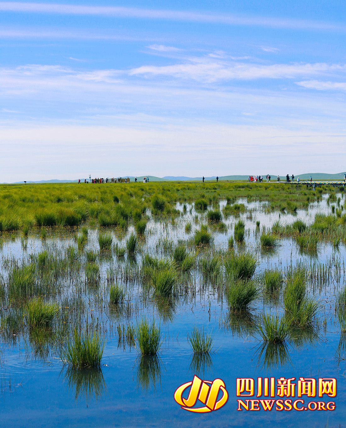 沙洲點點，水鳥翔集，探秘黃河九曲第一灣若爾蓋生態(tài)之變的“金鑰匙” (5)222222222.jpg