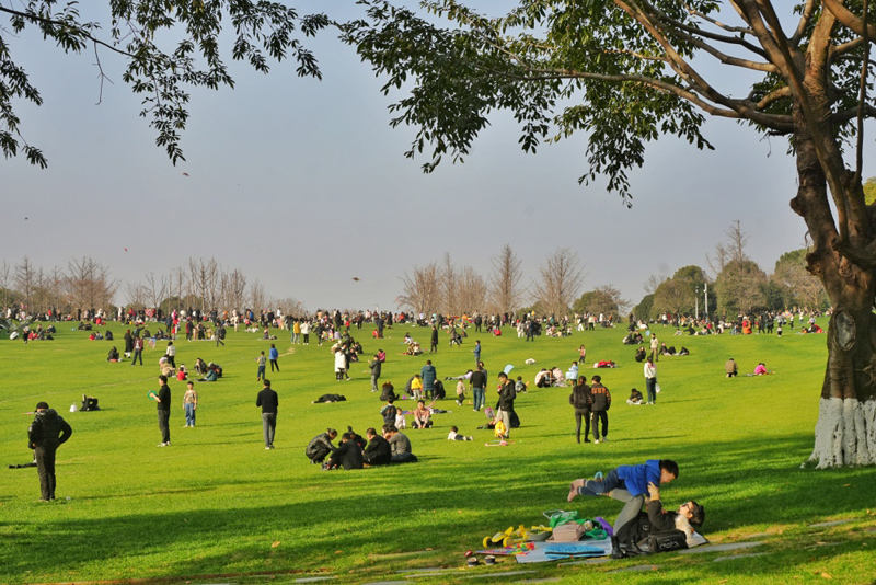 重慶中央公園，市民在草坪上曬太陽、放風(fēng)箏。重慶日?qǐng)?bào).jpg